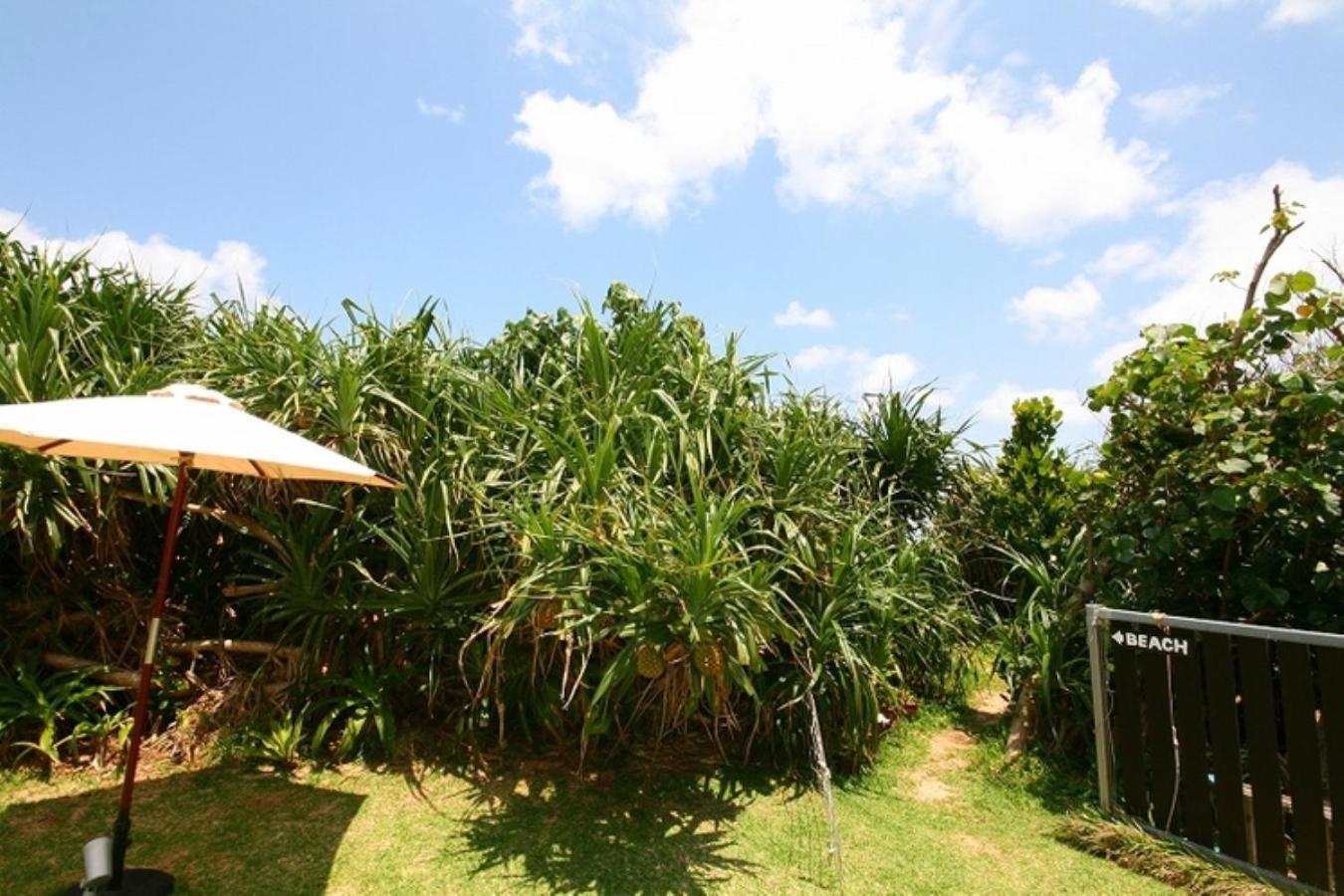 Casa Dumai Oceanvilla Nakijin Exteriör bild